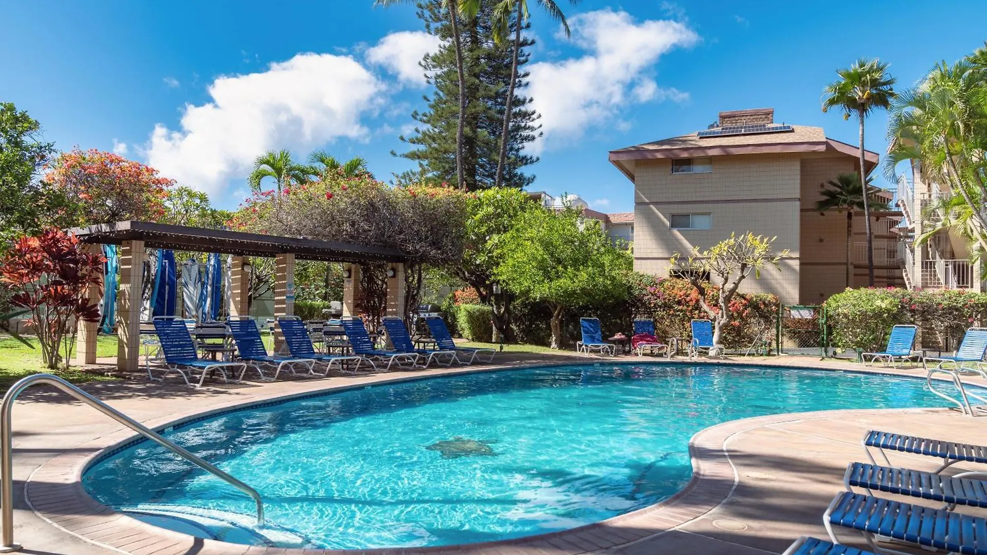 A-303 Haleakala Shores Wailea  0*, Wailea (Maui)